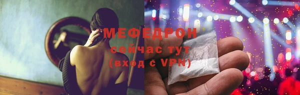 МДПВ Пересвет