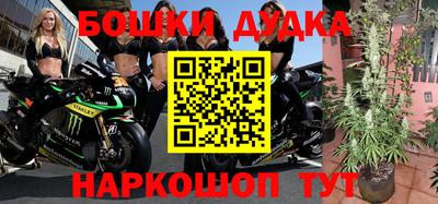 прущие грибы Волжск
