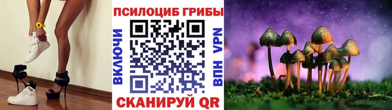 где продают наркотики  Екатеринбург  Галлюциногенные грибы Cubensis 