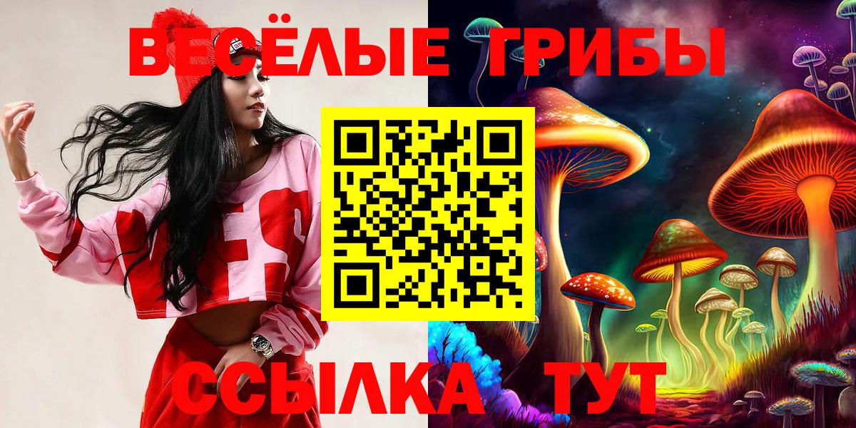 Псилоцибиновые грибы GOLDEN TEACHER  Галлюциногенные грибы Psilocybe  Екатеринбург 