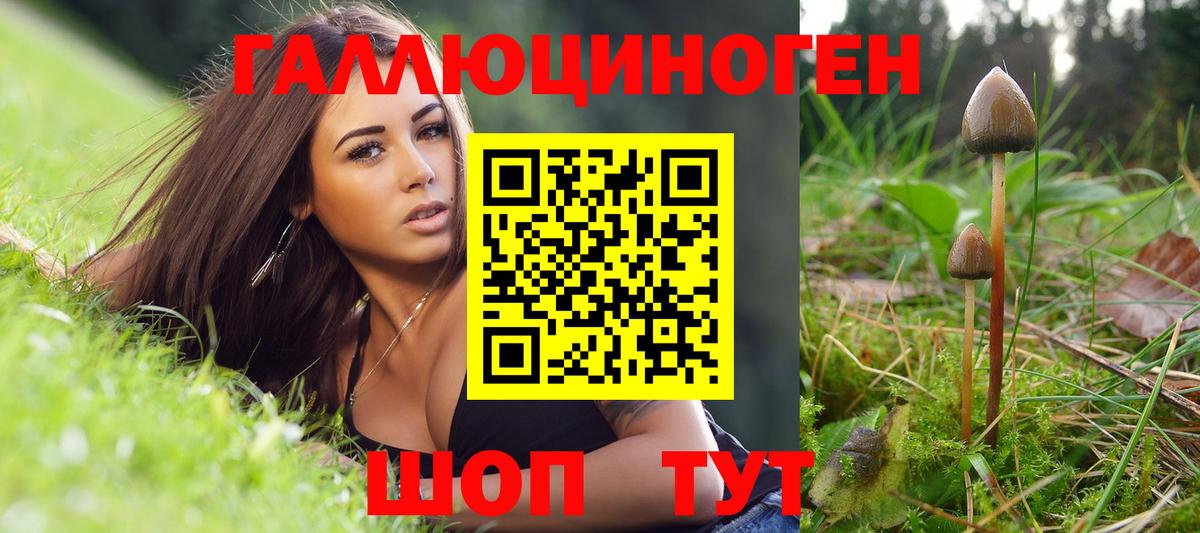 Псилоцибиновые грибы прущие грибы Екатеринбург