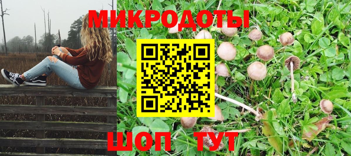 Псилоцибиновые грибы прущие грибы  сколько стоит  Екатеринбург  Вход с VPN  Псилоцибиновые грибы Cubensis 